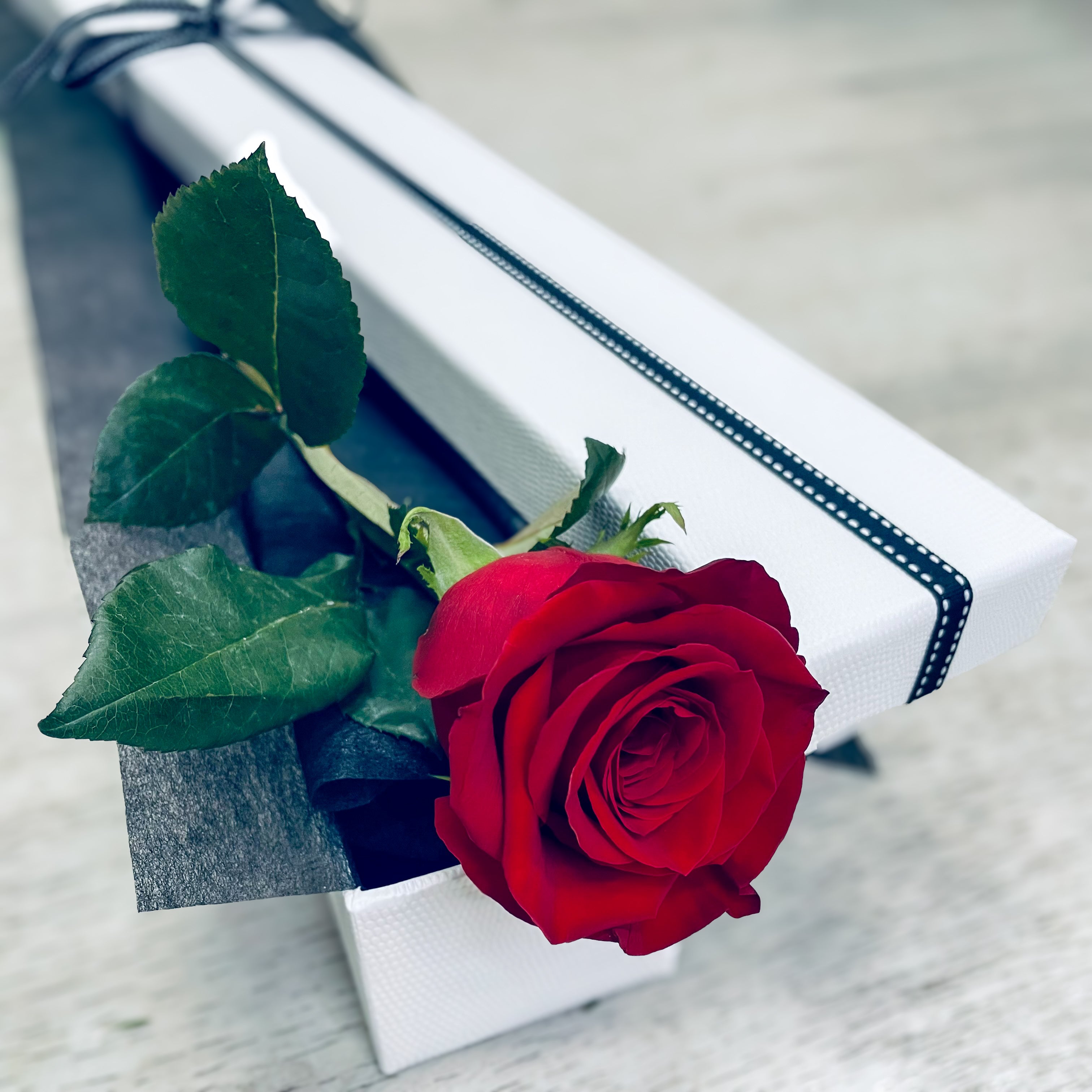 Single Red Rose Gift Box – Classic Romantic Gesture – The Bird Cage by ...